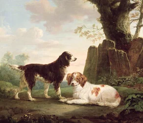 Two spaniels in a landscape
